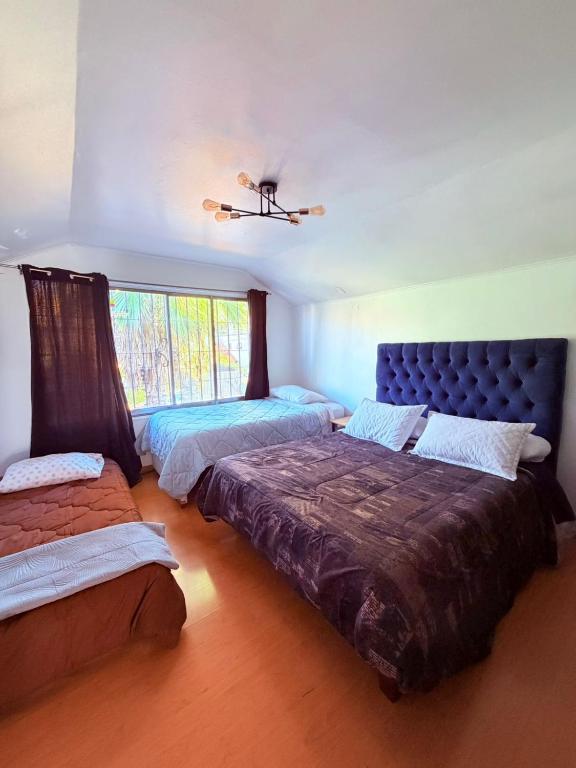 Habitación Exclusiva en Hostal Vitacura House - 4