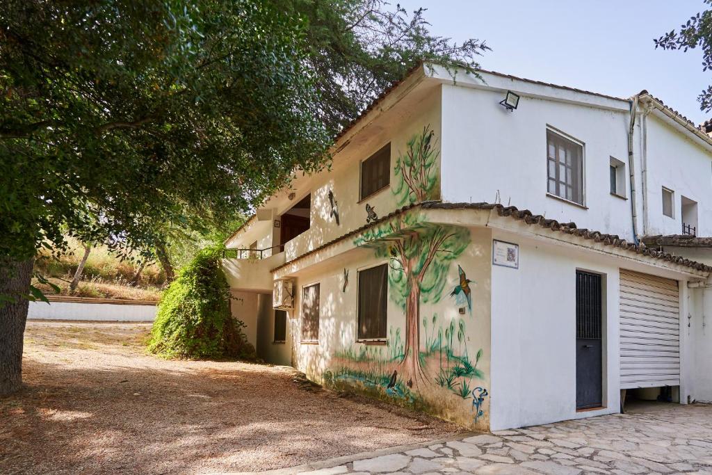 Huerta del Cañamares - 1