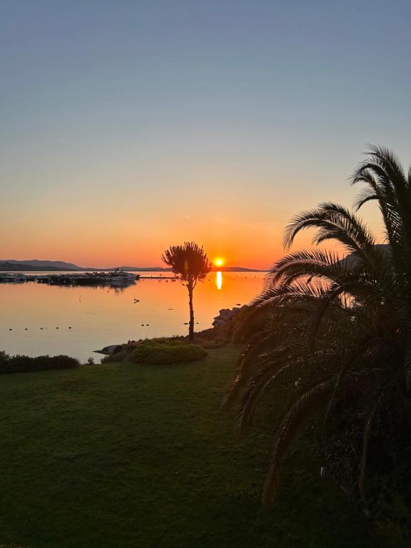 Les oliviers 6 - Appartement pieds dans l'eau - 2