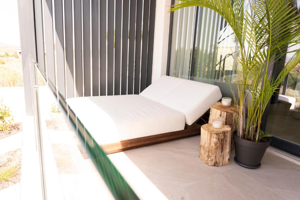 Luxury Experience Suites - 5