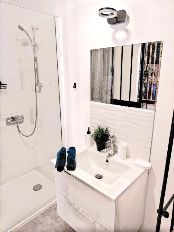 Studio Poseidon Agde Centre - 5