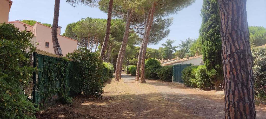 T3 cap d' Agde la roquille dans pinède jardin et parking - 1