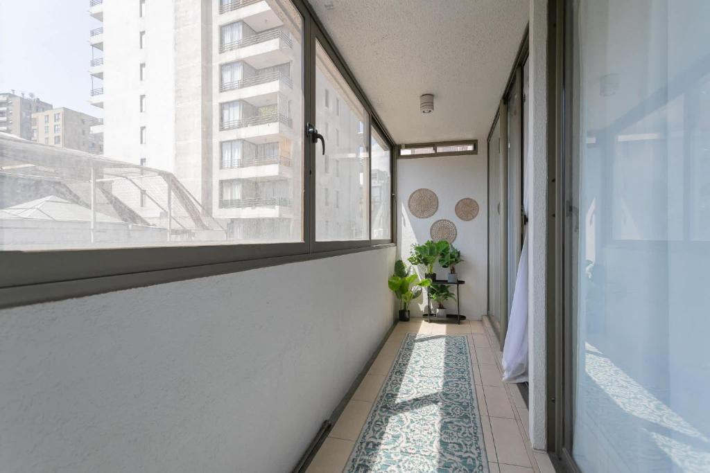 Live Providencia from your cozy home - 2