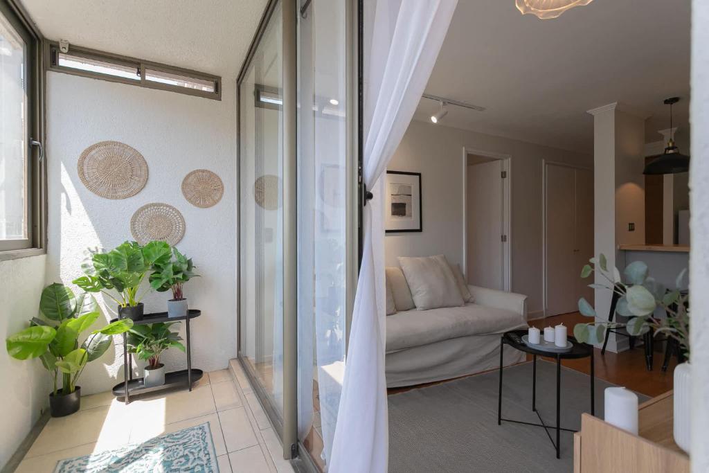 Live Providencia from your cozy home - 3
