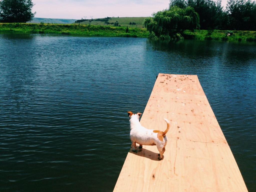 Recreational facilities