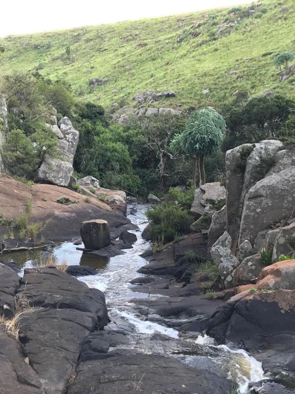 Sports and activities