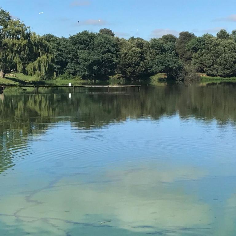 Recreational facilities