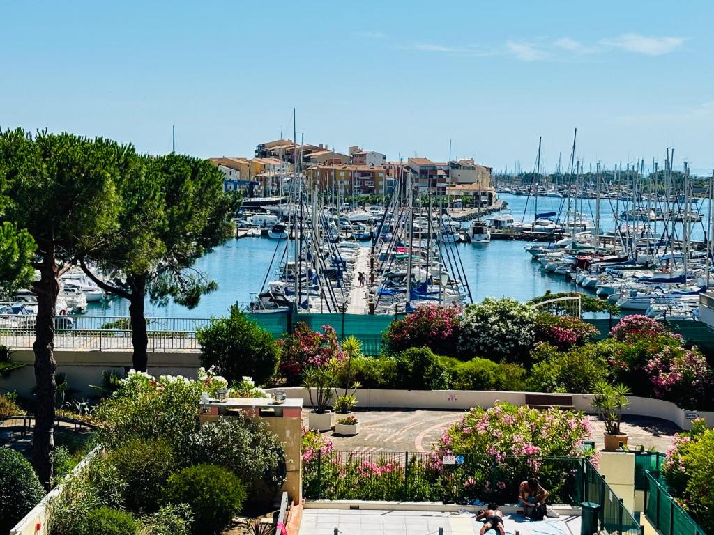 Esprit vacances,Piscine,Vue sur le Port,Parking privé,Commerces et restaurants - 2