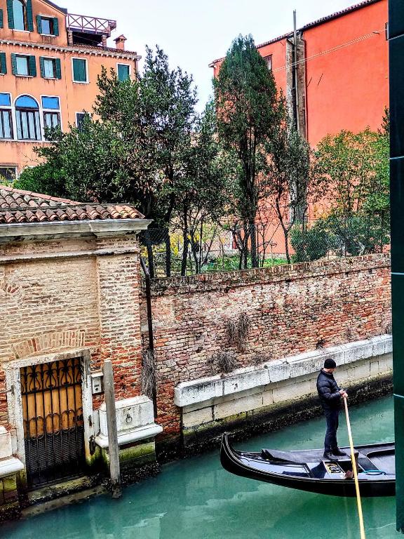 Venice and Venice Apartments - private rooms in shared apartment - 5