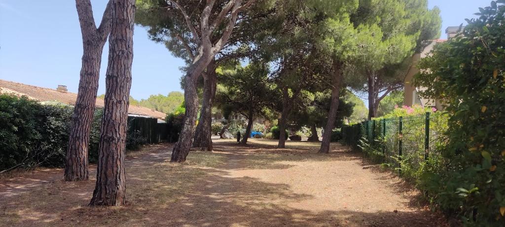 T2 luxe rdj cap d agde - 1