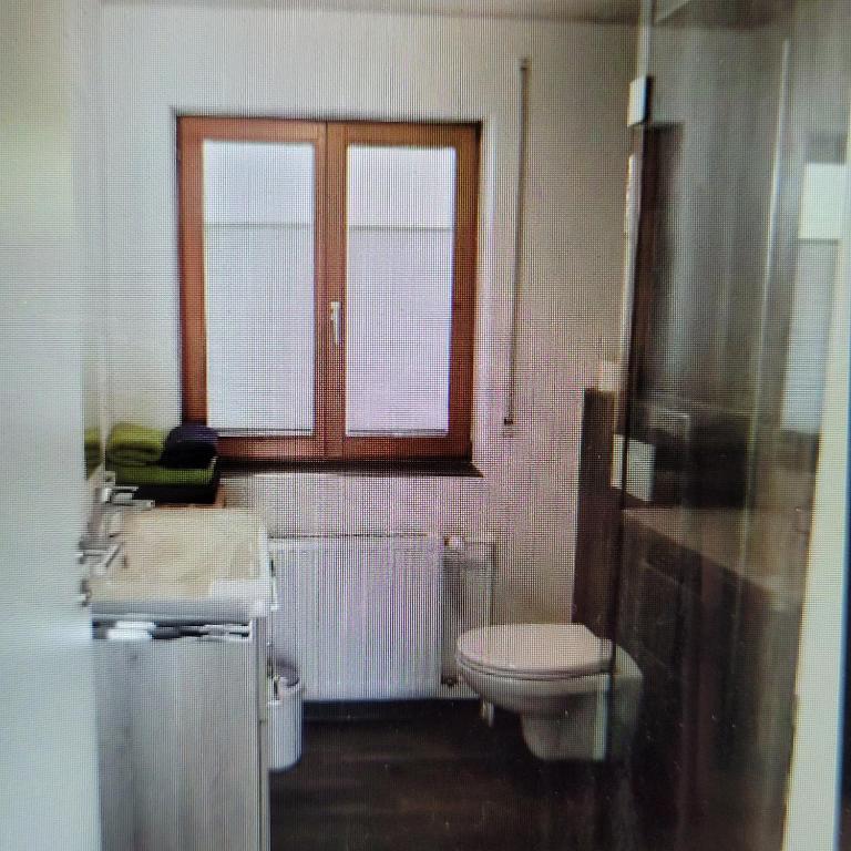 Completely renovated and tastefully furnished property in La Clusaz - 2