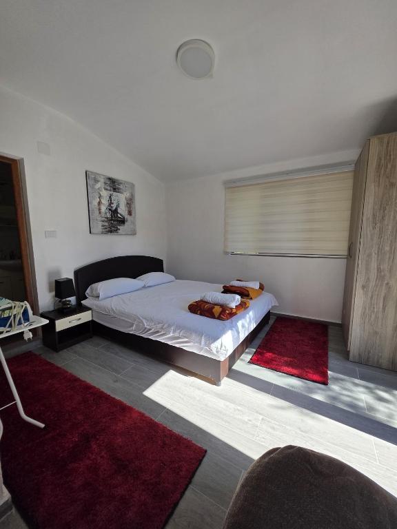 Olive stone house, Ulcinj - 5