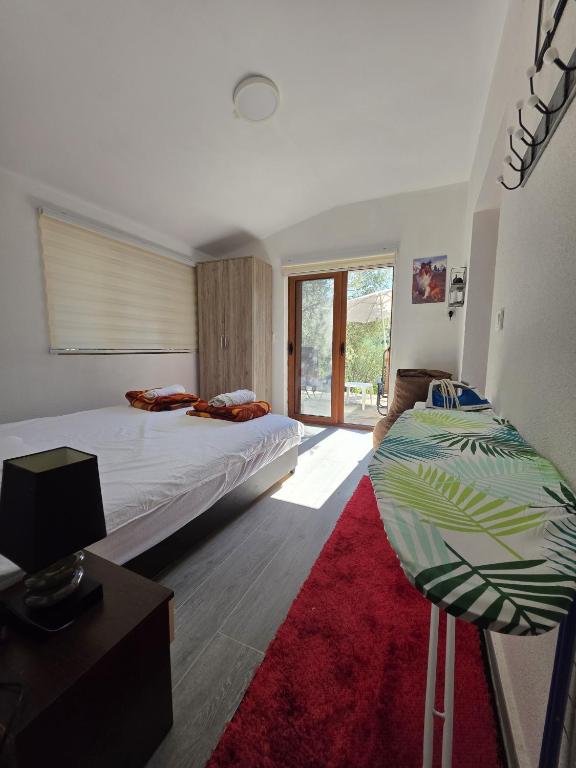 Olive stone house, Ulcinj - 3