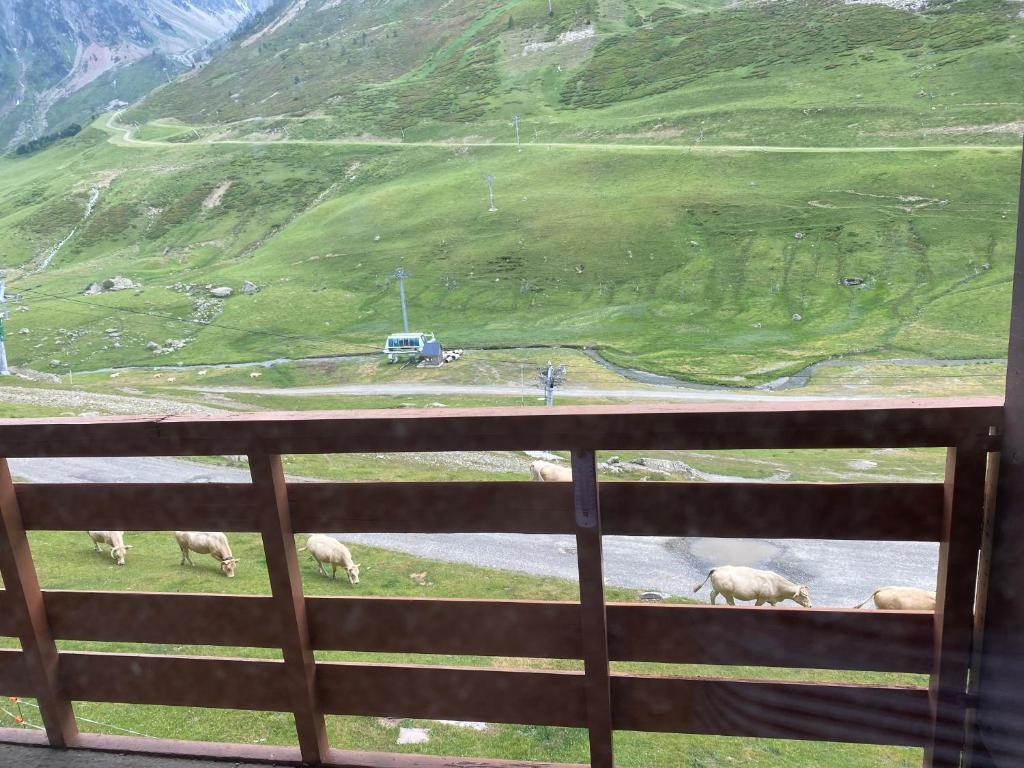 T2 Pic du Midi - balcon panoramique - 5