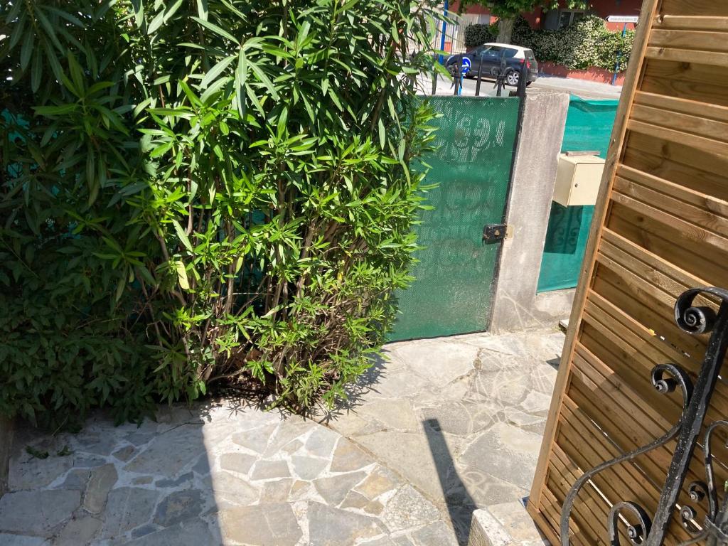2 room rental in Mandelieu - 1