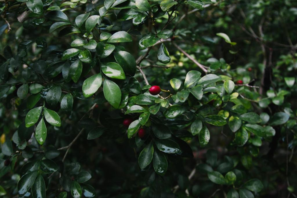 Surrounding environment