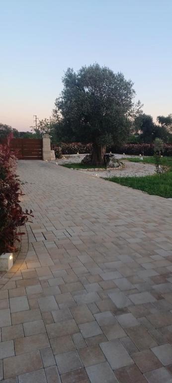 Villa Sofia - 5