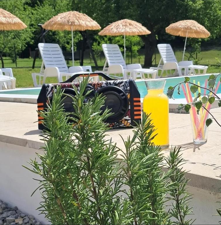 Pooltopia holidayhome go2bihac - 3