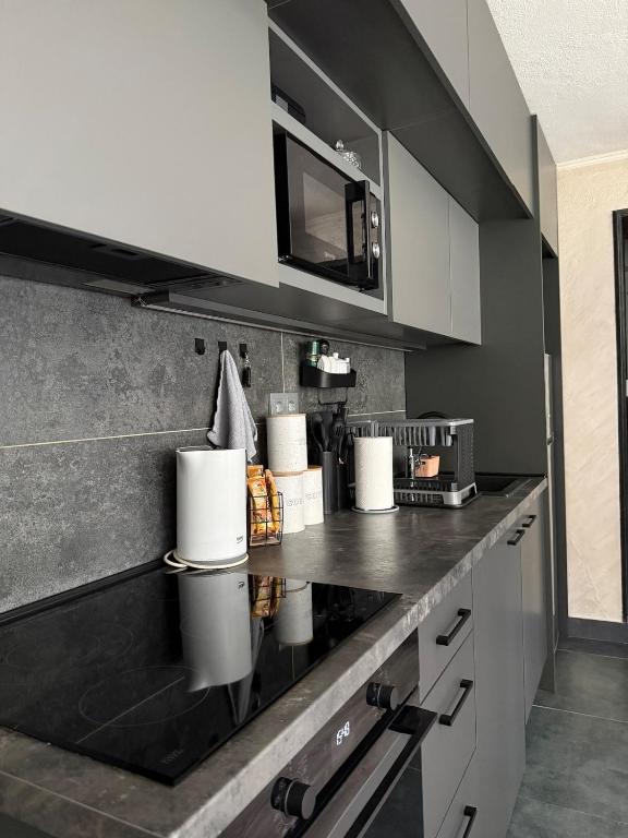 Quart Apartment Sarajevo FREE parking - 4