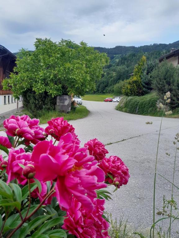 Familien-Bauernhof Neumoar - 2