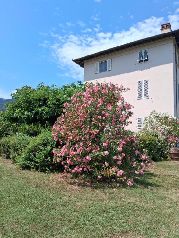 La cantina di Tonino - 3