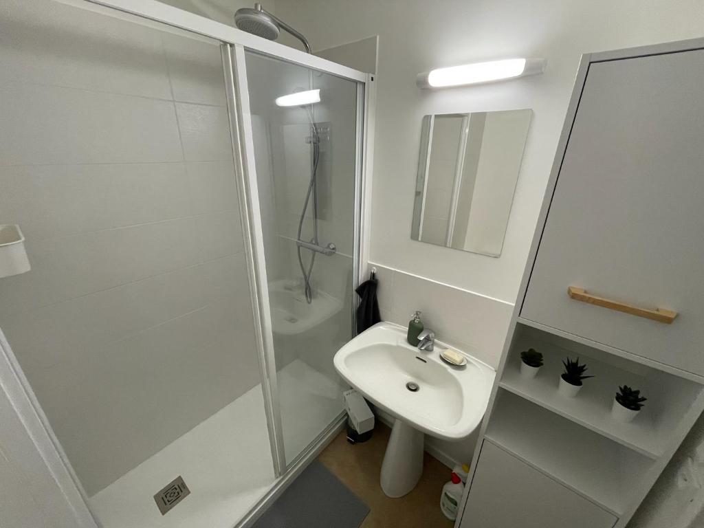 Appartement 28m2 pour 2- 3 personnes avec Balcon Metro Marcel Sambat - 3