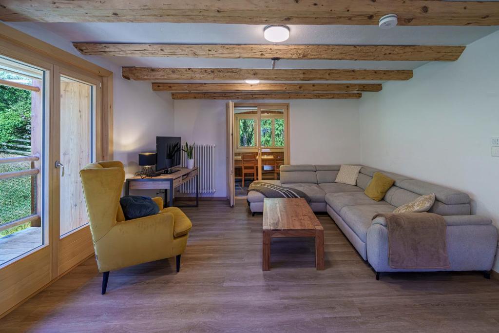 Chalet des Cheneaux - 4