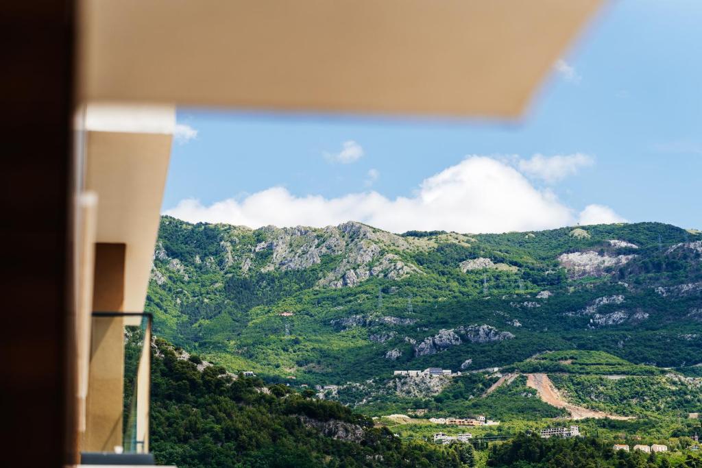 Central Apartments Budva - 3
