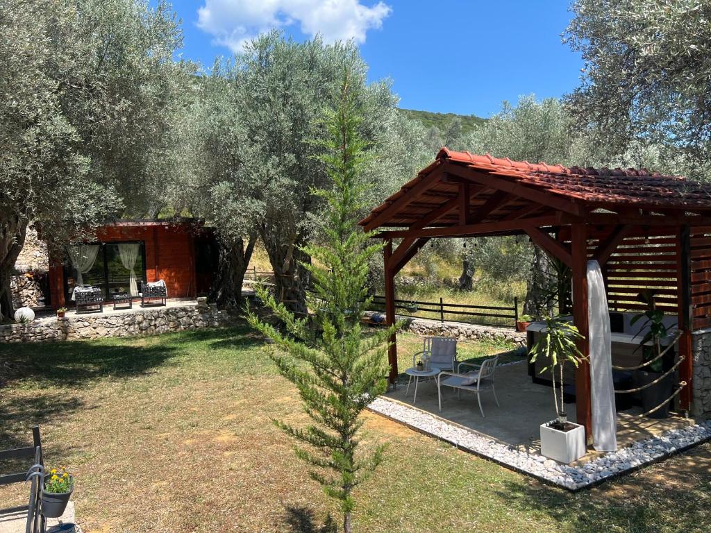 Olive grove Sofias Garden - 2