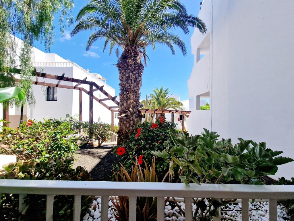 Teguisol Breeze en Costa Teguise - 5