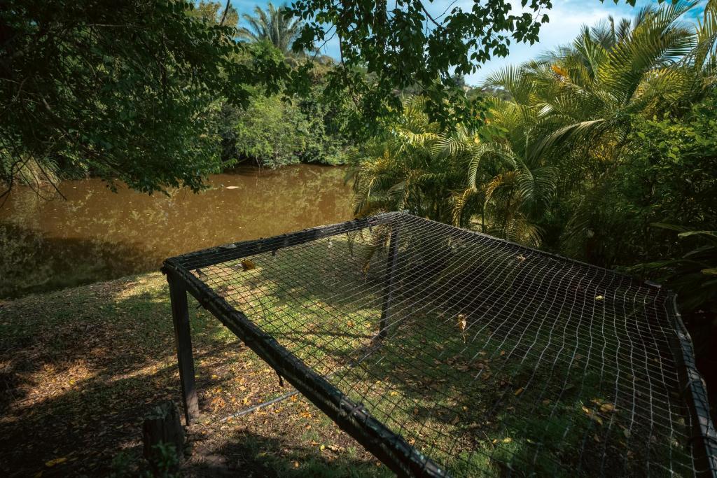 Hotel MulataRetreat - 2