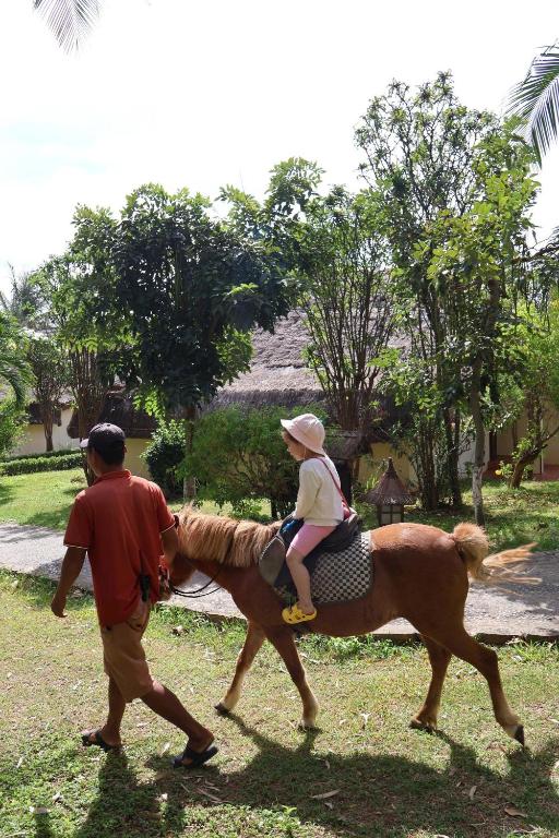 équitation