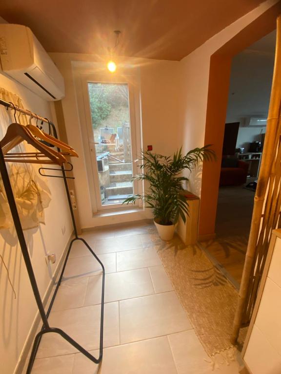 Studio Smart&Cosy - 2