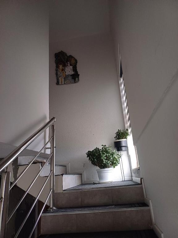 Apartman Miljan - 1
