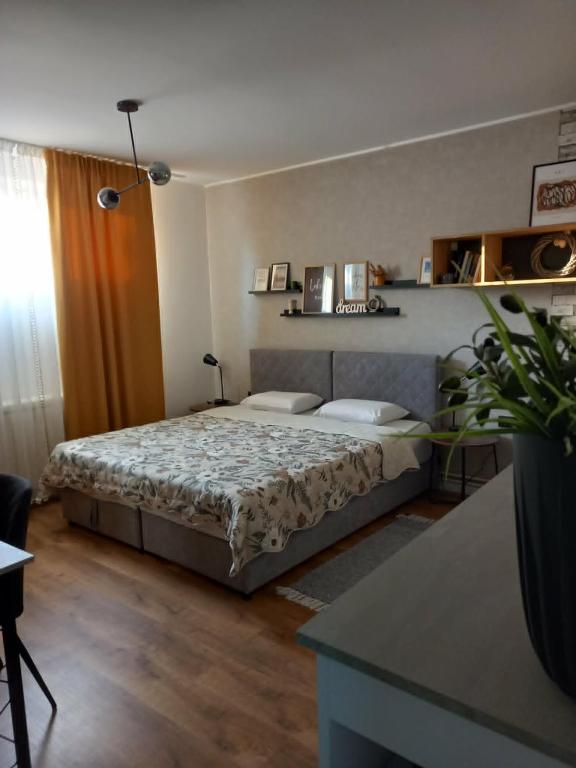Apartman Zlata - 3