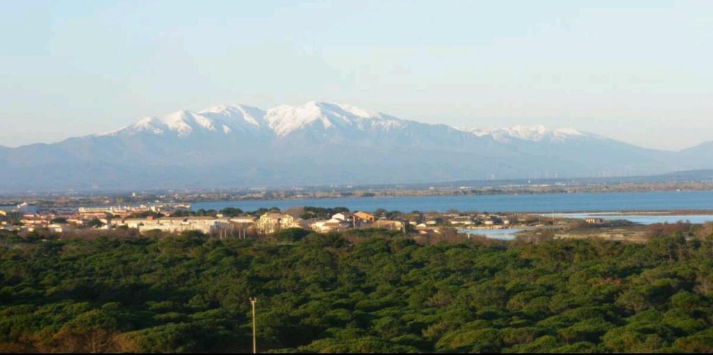117, Le Barcarès, vue mer et Canigou - 5