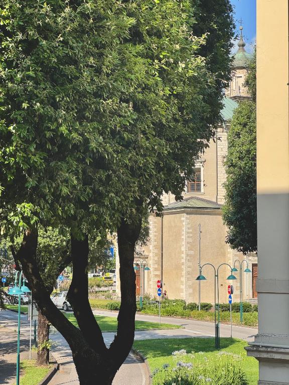 1Dest - Palazzo 5 Wood - 5