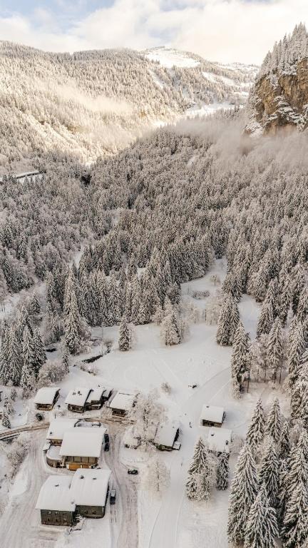 Chalet Truman near Lac de Montriond & Ardent Lift - 3