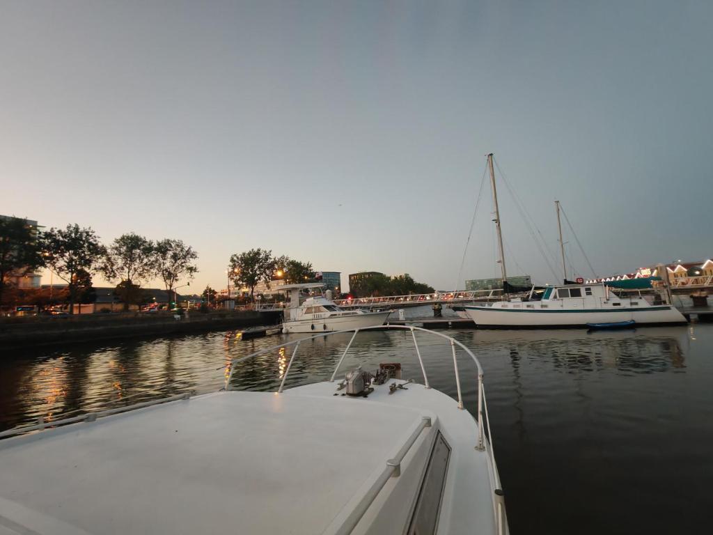 Nuit insolite dans un bateau - 5