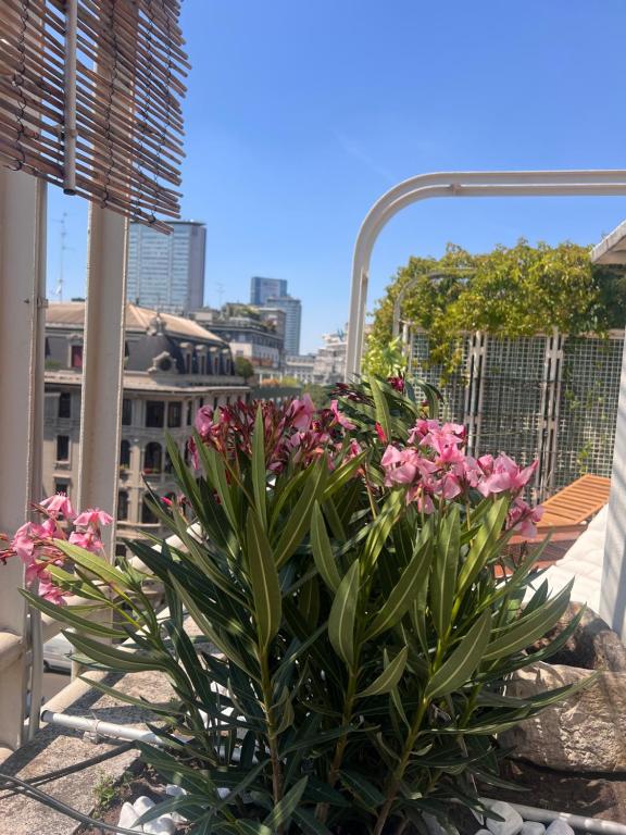 Manderley Terrace - Centrale - 3