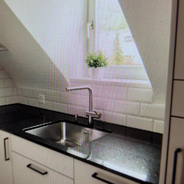Newly renovated and charming property in Flachau - 3