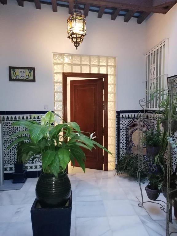 Apartamento centro Cádiz - 1