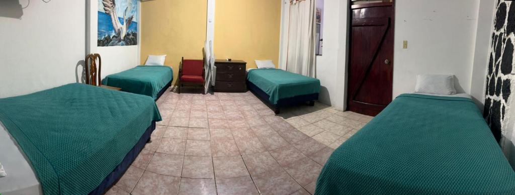 Hostal Puerto Ayora - 1