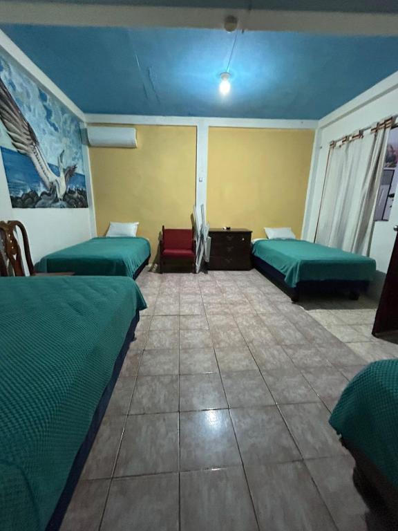Hostal Puerto Ayora - 5