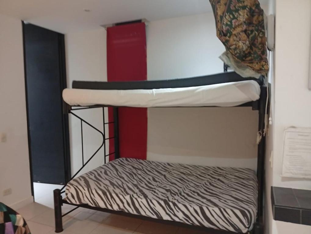 Comfortable suite-style studio apartment to rest - 2