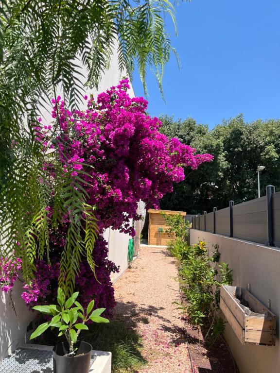 Villa Indigo avec jardins Méditerranéens - 3