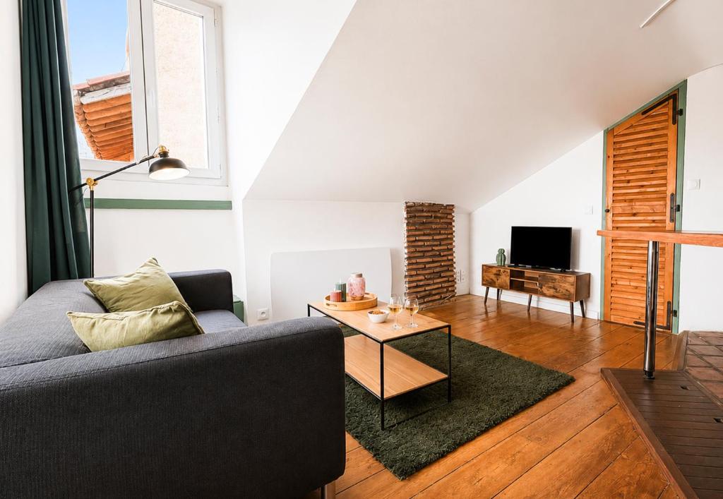Sous les Toits de Pau T2 Cosy 4 Pers - 3