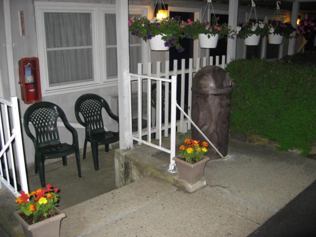 Sea Whale Motel photo