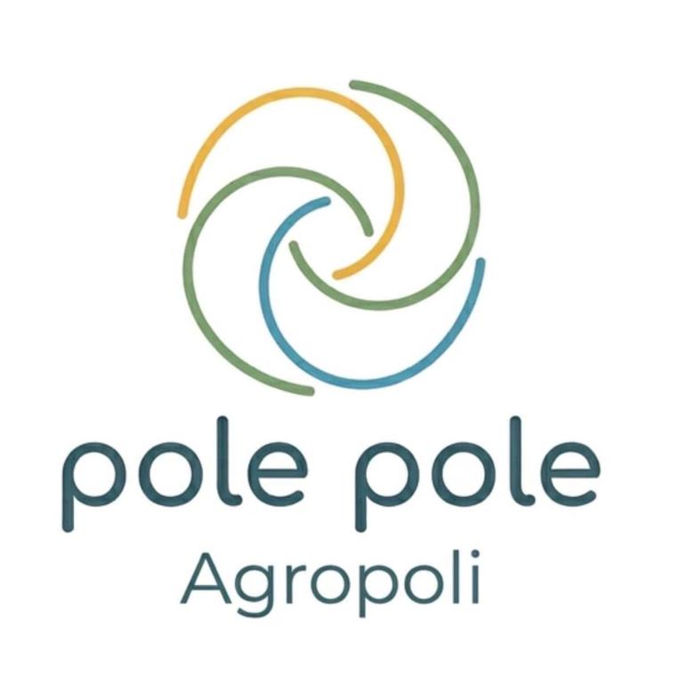 Pole Pole - SOLE - 3