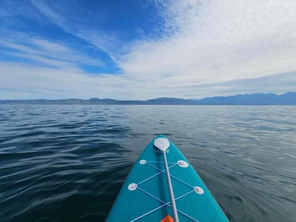 Bord de lac Plage Vue lac Leman Lac Geneva Paddle - 4